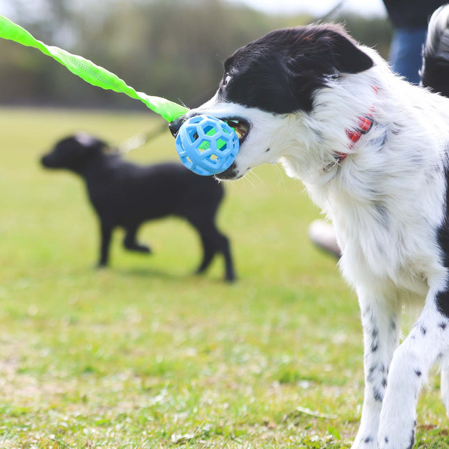 Trækkelegetøj m. bold og elastik