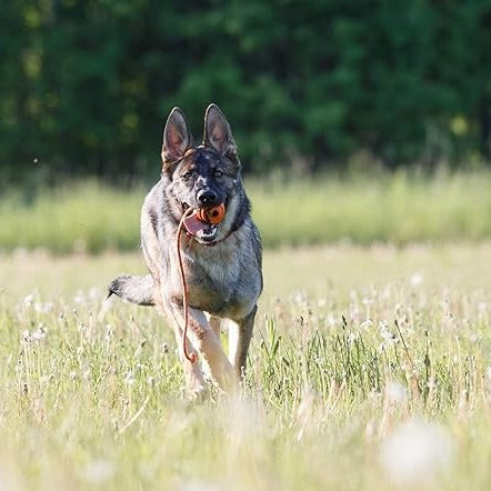 Trixie wavy bold | stærk bold på snor