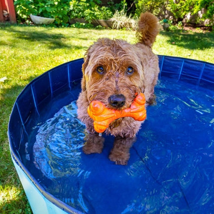 Doggy pool | hundepool