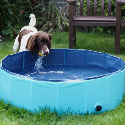 Doggy pool | hundepool