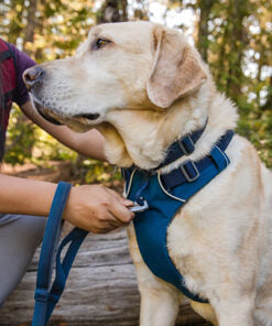 Ruffwear front range line mørkeblå