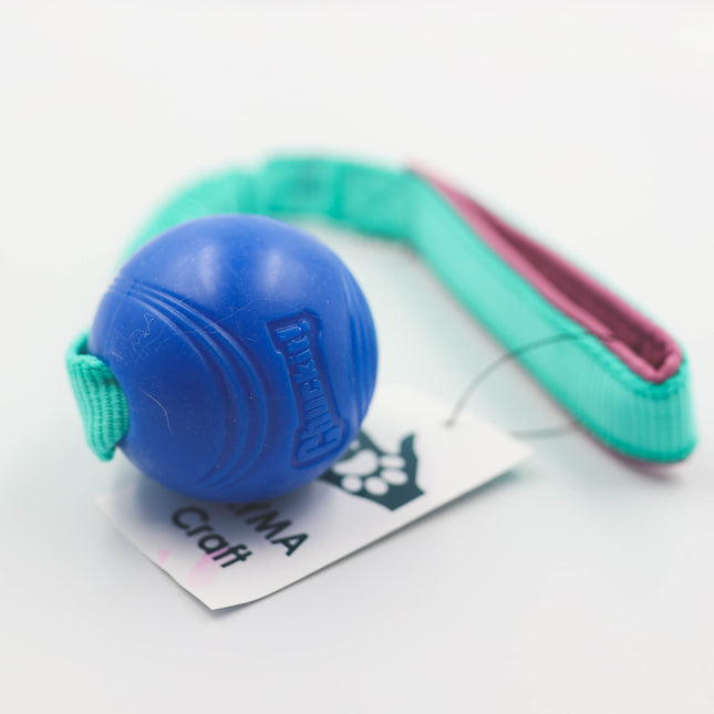 Chuckit bold med tyk elastik