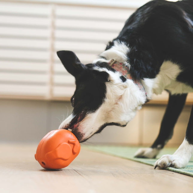 SodaPup aktiveringslegetøj kalkun